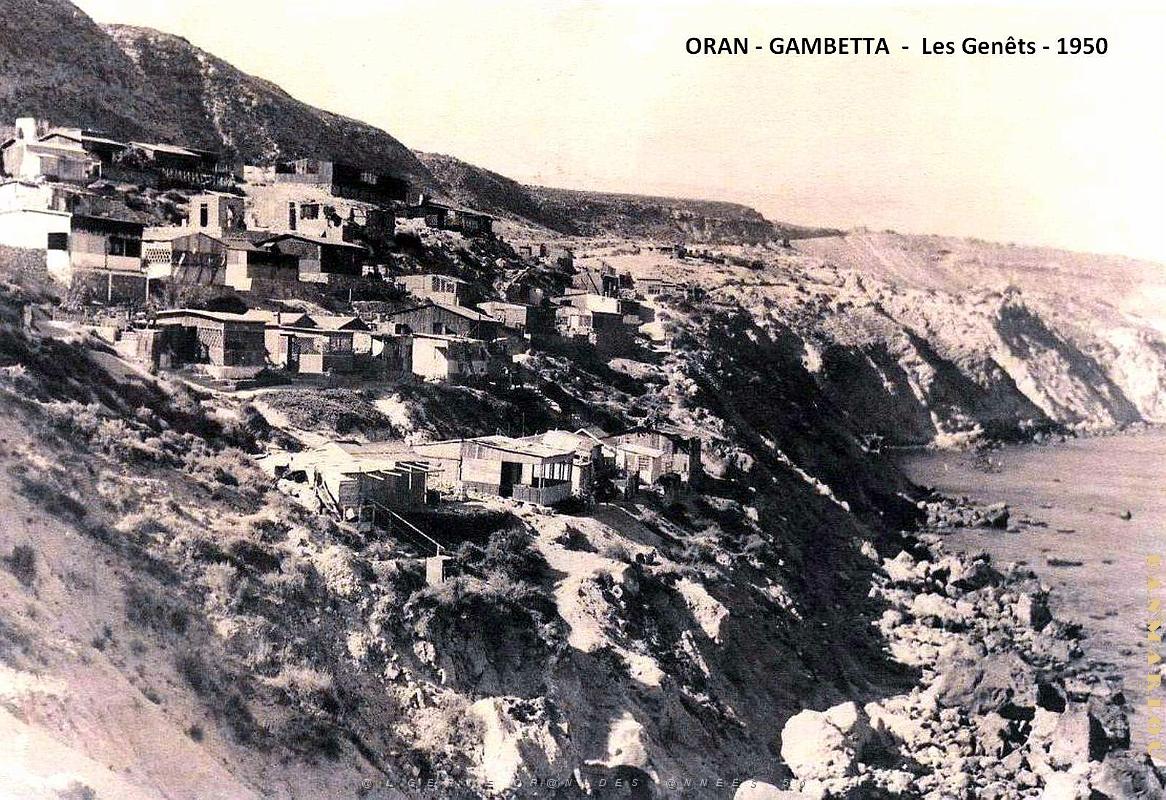 Oran - Gambetta - Les Genets - 1950.jpg